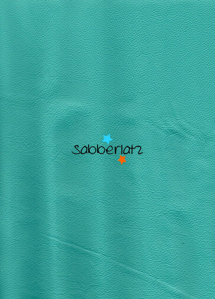 Lederzuschnitt Türkis