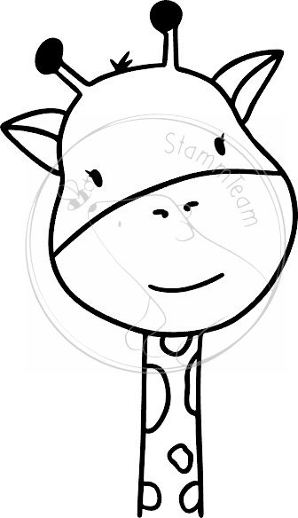 Giraffe - kleine Bande